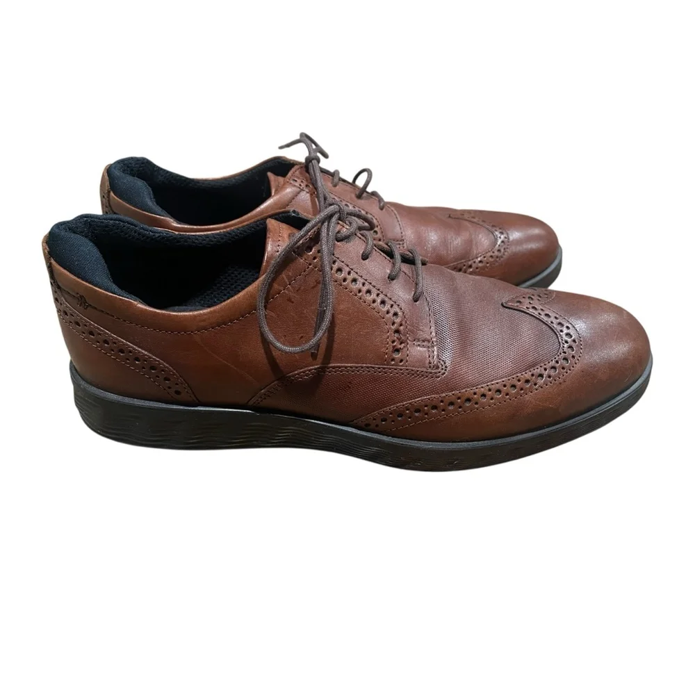ECCO lite hybrid